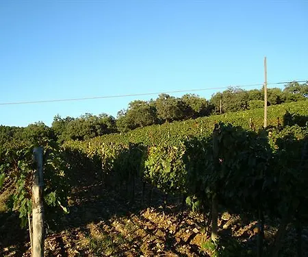Il Villino Fonterutoli